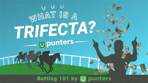 what is a trifecta|trifecta noun .